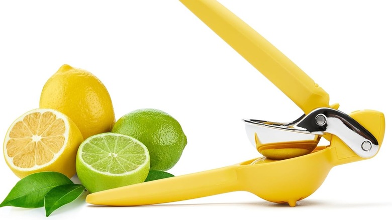 juicer and lemons and limes