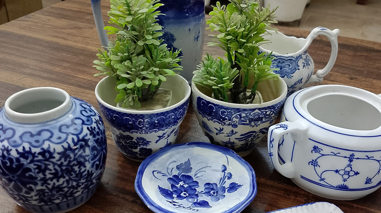 A series of ceramic mugs holding several houseplants