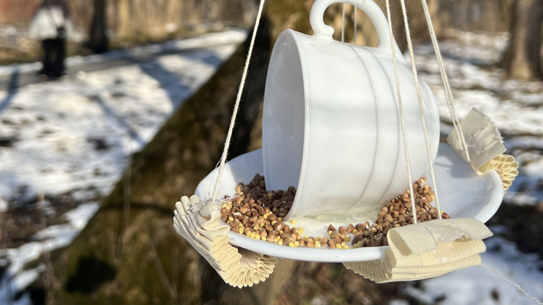 A bird feeder made out of a saucer and teacup