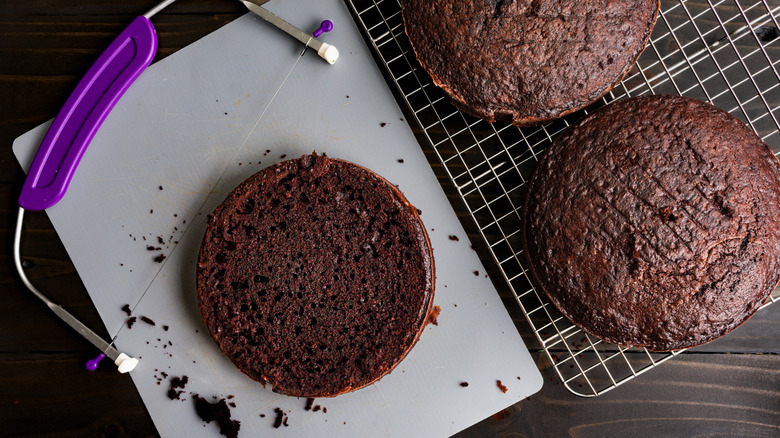 Cake leveler and leveled chocolate cake piece