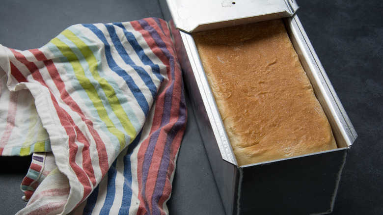Pullman loaf pan with bread
