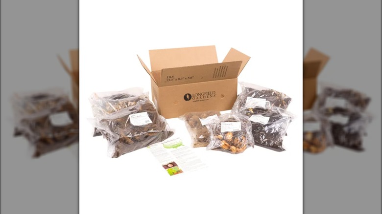 A Longfield Gardens cardboard box sitting open with bags of flower bulbs around it.