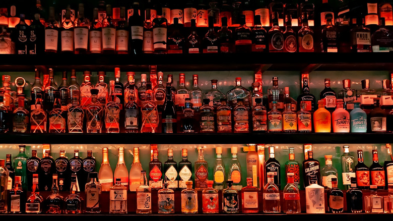 A back bar lit with bottles lining the shelf