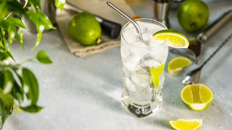 Gin and tonic cocktail with fresh lime garnish