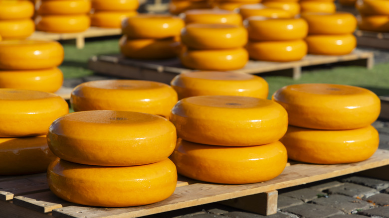 Orange cheese wheels stacked in rows