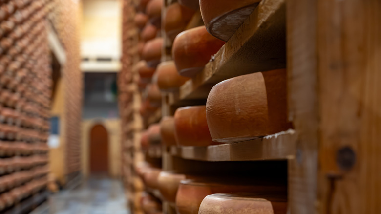 Artisanal cheese wheels on wooden shelves