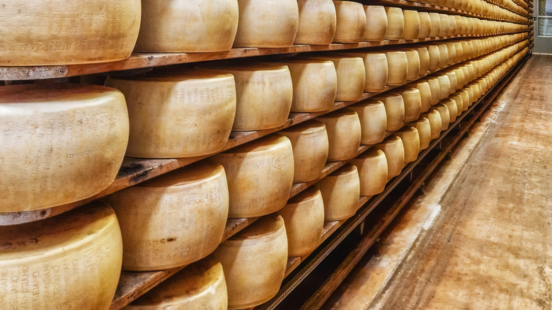 Parmesan cheese wheels lined up on tall shelves