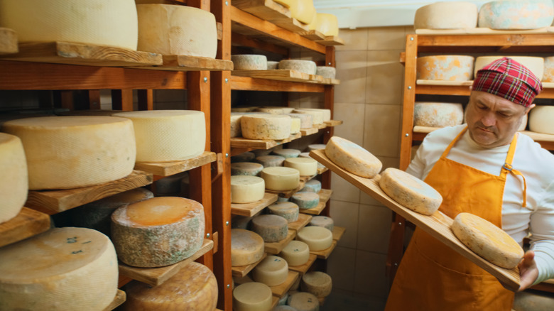 Person examining cheese wheels in factory