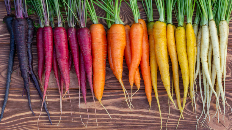 Row of rainbow colored carrots line-up on counter top