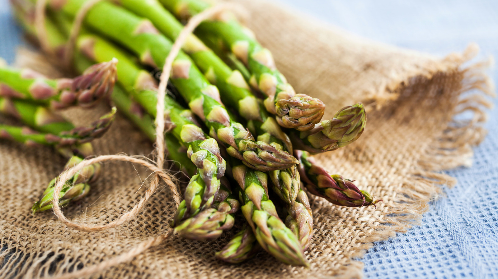 13 Foods You Should Be Wrapping Your Asparagus With