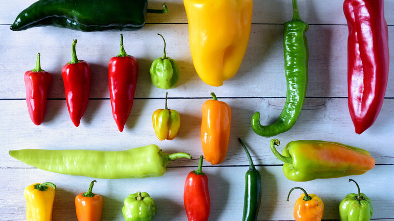 Assortment of colorful spicy peppers