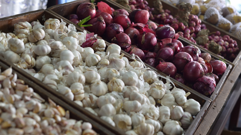farmers market stand with alliums