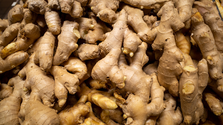 pile of fresh ginger roots