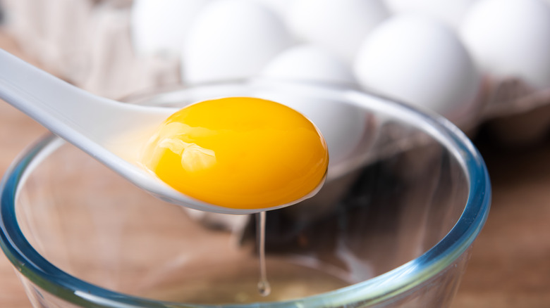 Egg yolk on a spoon