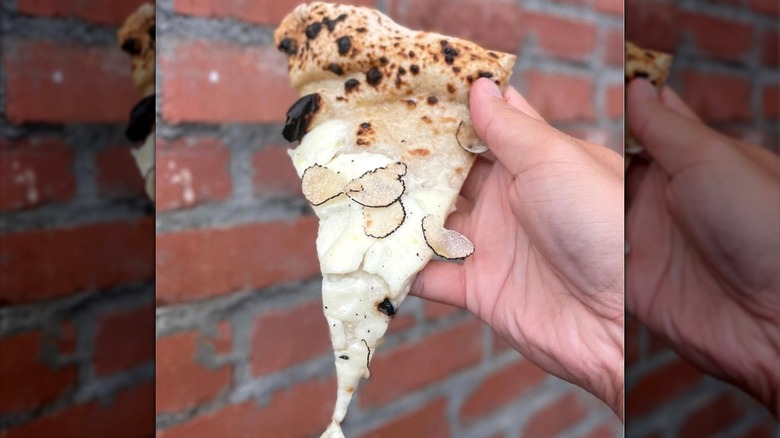 Hand holding slice of truffle pizza