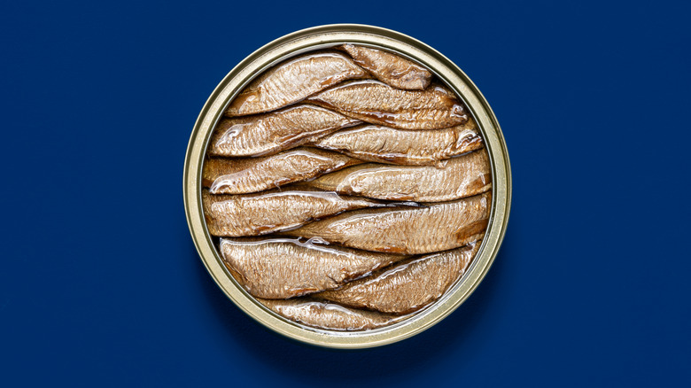 Sardines in open round can