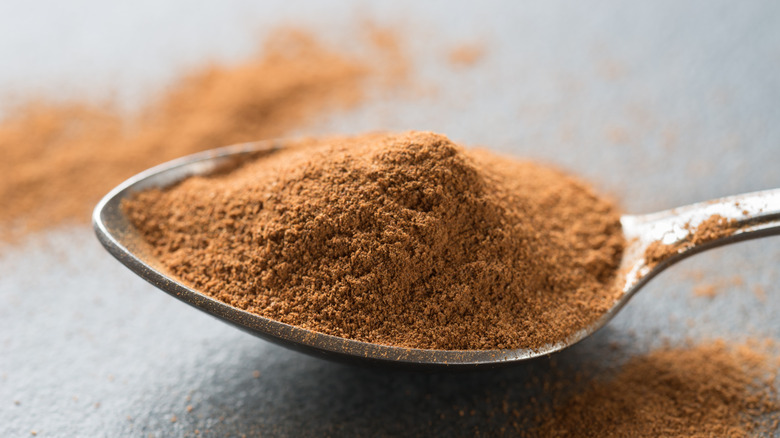 A spoon full of ground cinnamon.