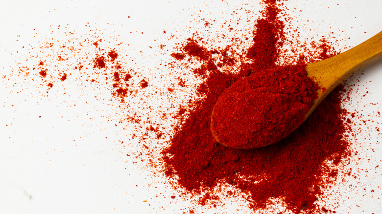 An overflowing wooden spoon of red paprika powder.