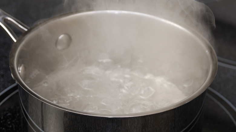 boiling water in a pot