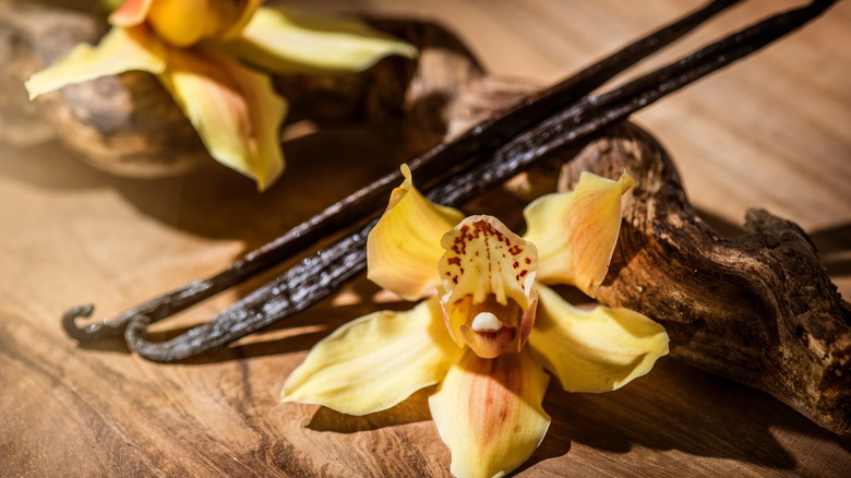 flowering vanilla bean pod