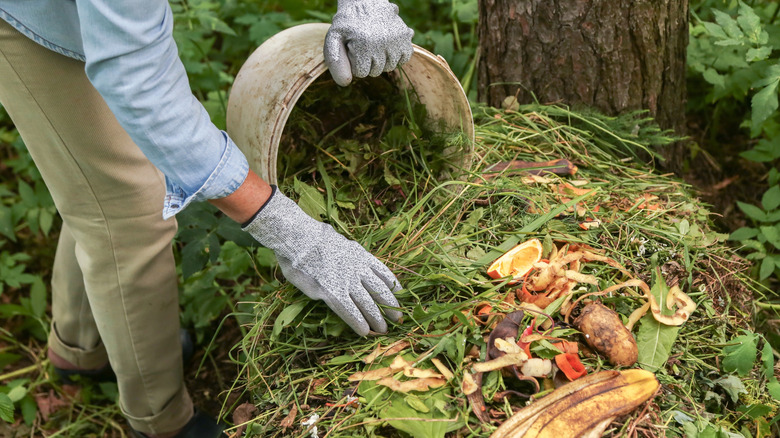 Woman sorting plant waste for compost heap