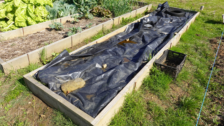 Raised garden bed with black plastic covering soil