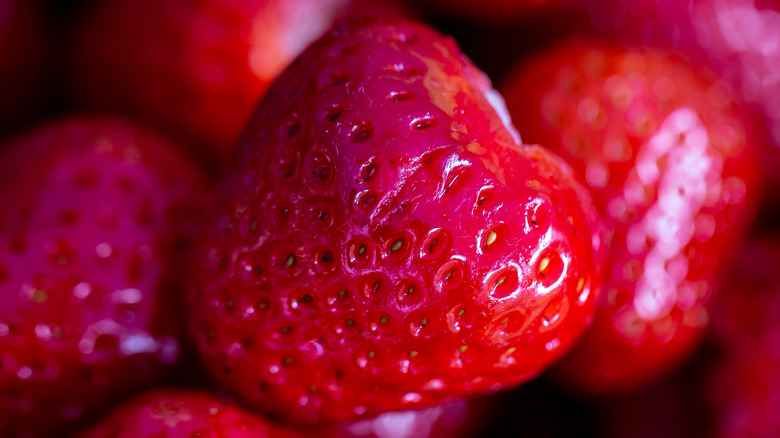 bright red strawberries without tops
