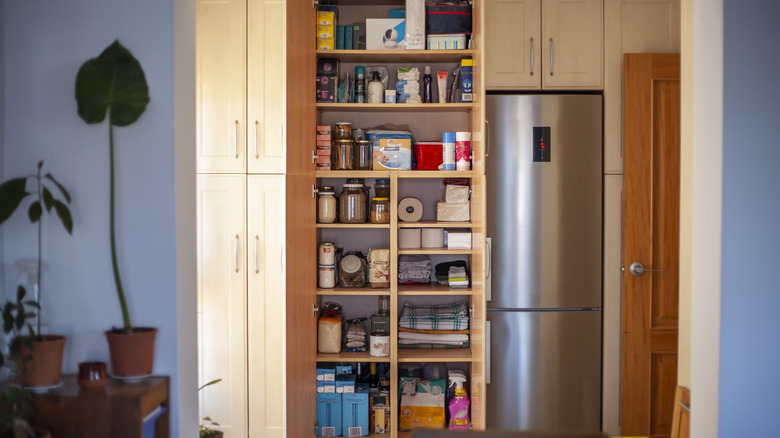 Kitchen pantry cupboard with a variety of items
