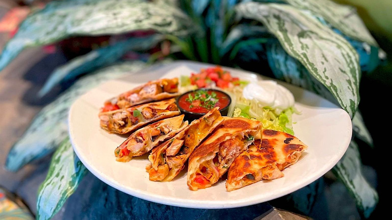 A plate of chicken quesadillas at Rainforest Cafe