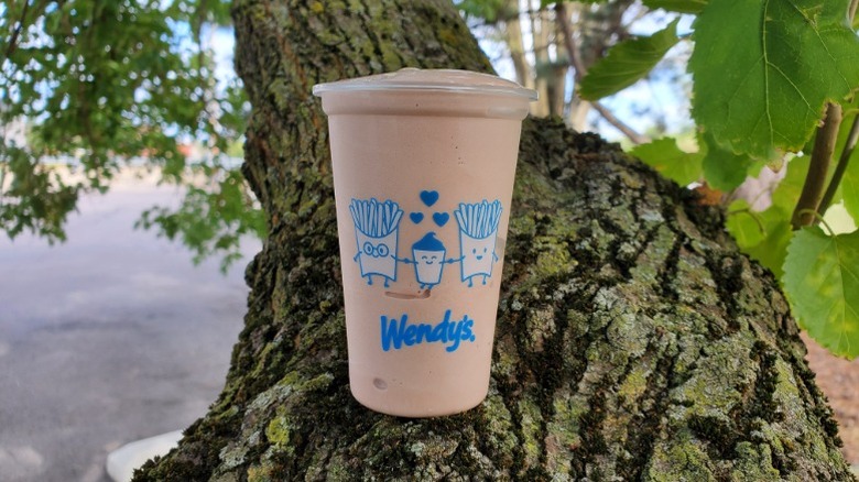 Wendy's Jr. Frosty perched on tree branch