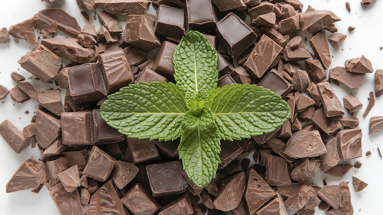 Mint leaves on chocolate