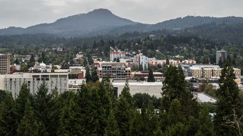 Eugene, Oregon's skyline with a mountain backdrop