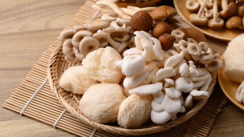 bowl of different kinds of mushrooms on a wooden table