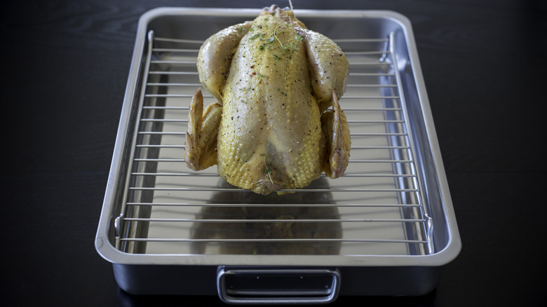 Steel roasting pan