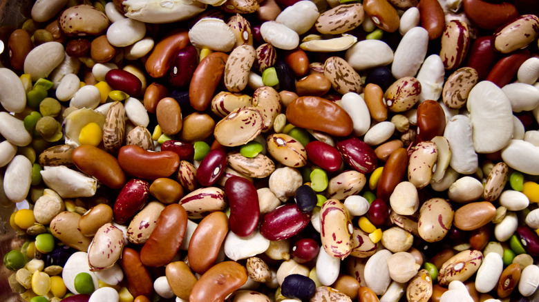 Dried beans and lentils as background