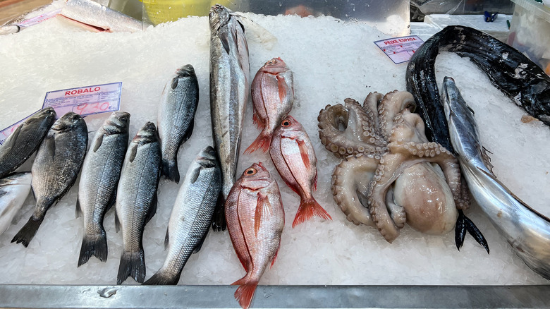 A variety of fish on ice at a market