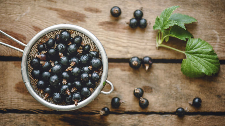 A strainer full of washed blackcurrants