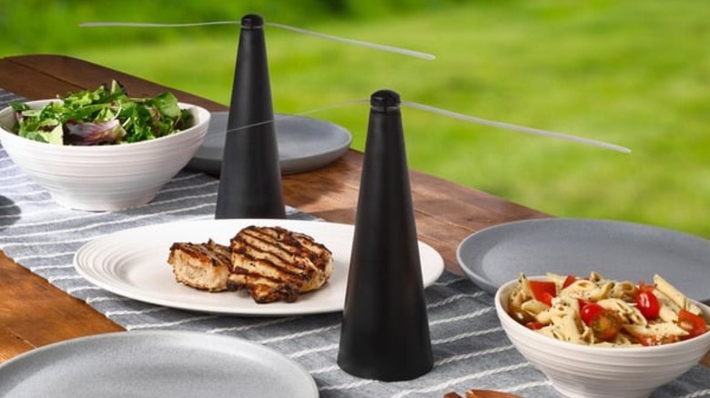 Two bug fans on a wooden picnic table with food