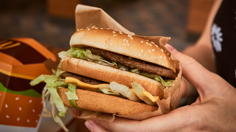 A person holding a McDonald's Big Mac
