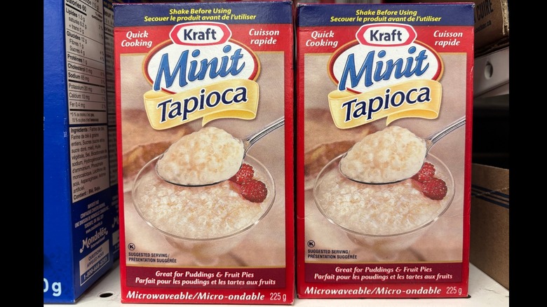 Bowl of tapioca pudding with a spoon