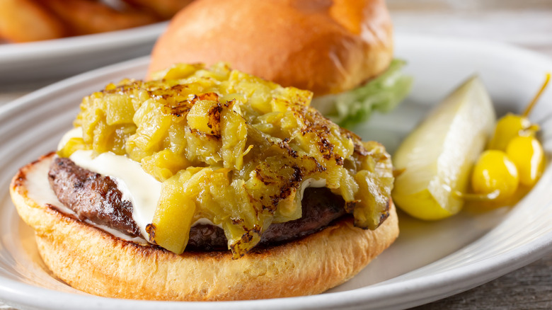 Green chile cheeseburger on a plate