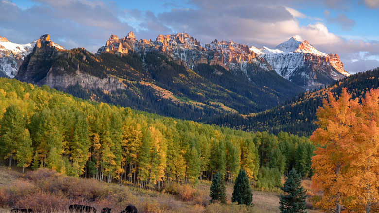 Rocky Mountains in Colorado