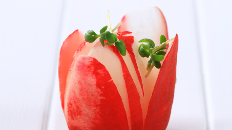 radish tulip with microgreens