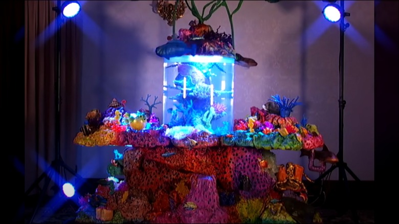 An aquarium with a coral-themed cake surrounding it