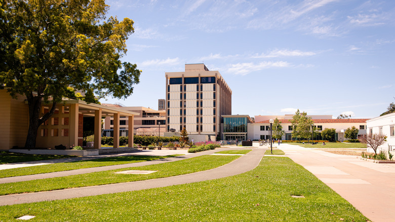 State university campus with trees