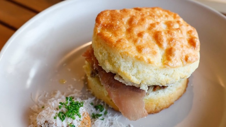 Biscuit sandwich on a white plate