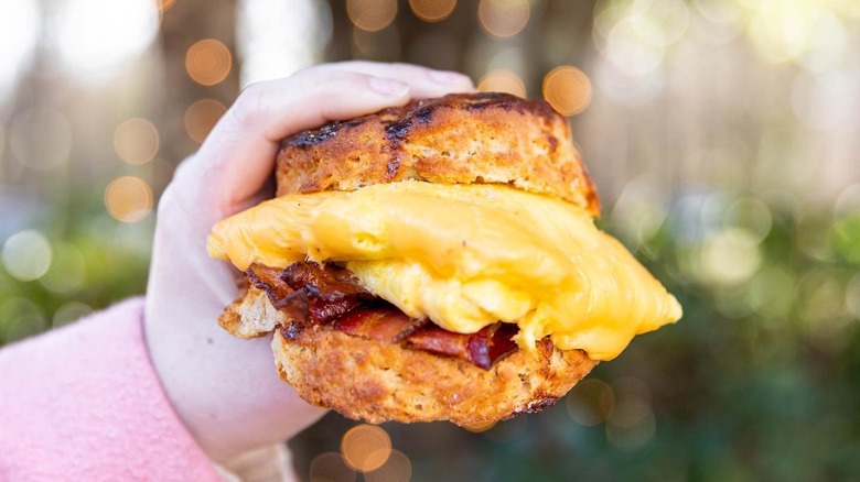 Hand holding bacon, egg, and cheese biscuit sandwich