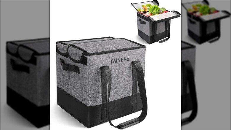 Tainess bag open on white surface