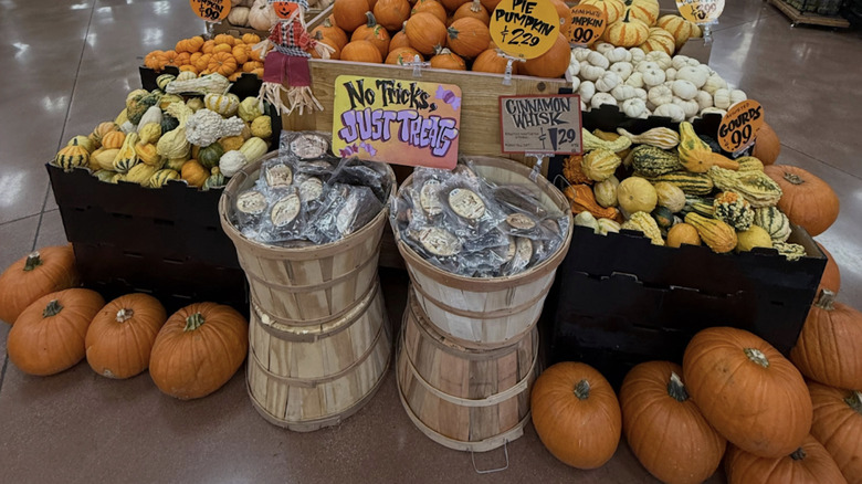 Trader Joe's pumpkins
