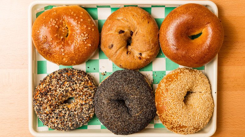 six assorted bagels on a white tray